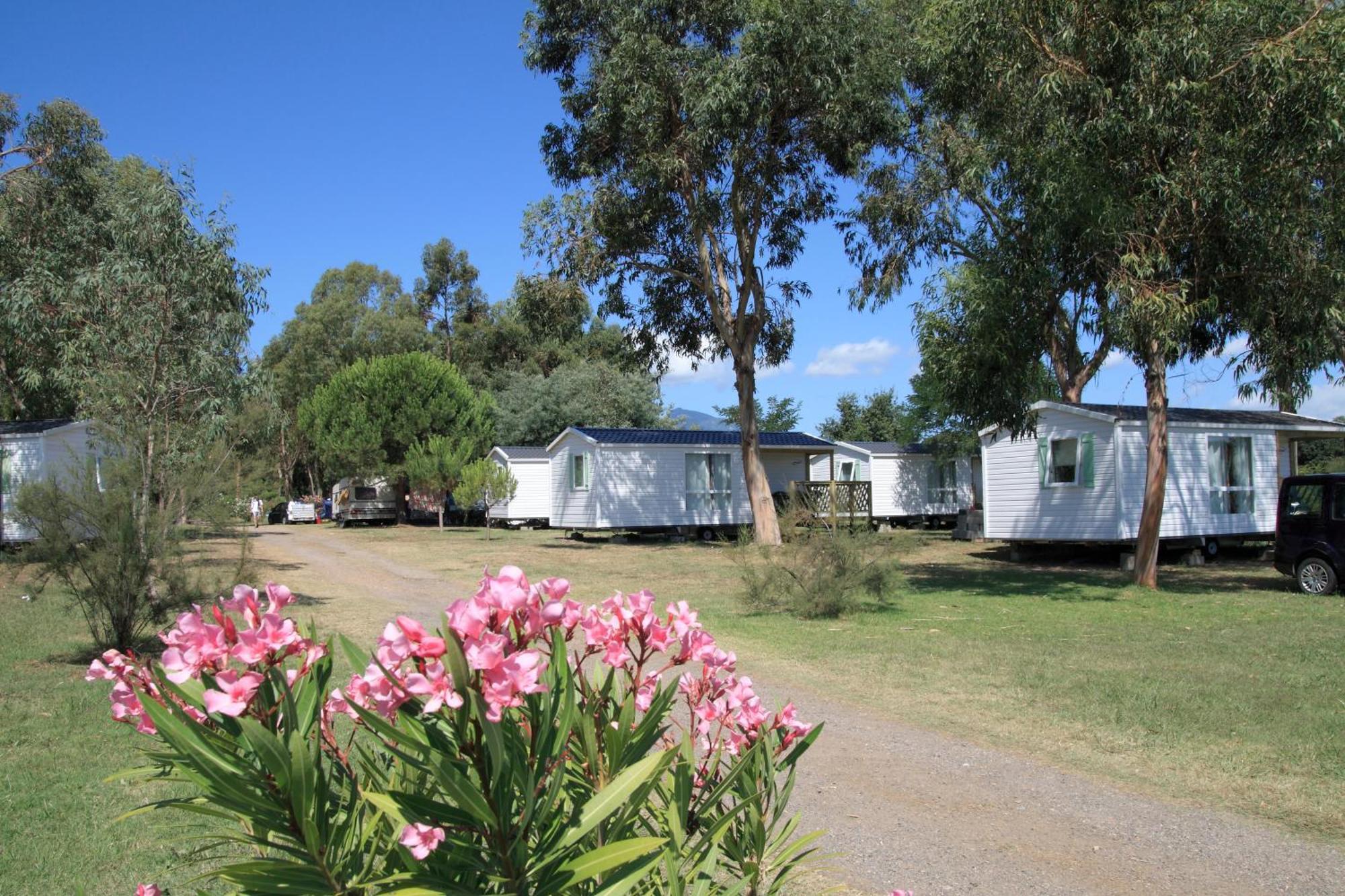 Hotel Camping Miami Plage Poggio Mezzana Exteriér fotografie