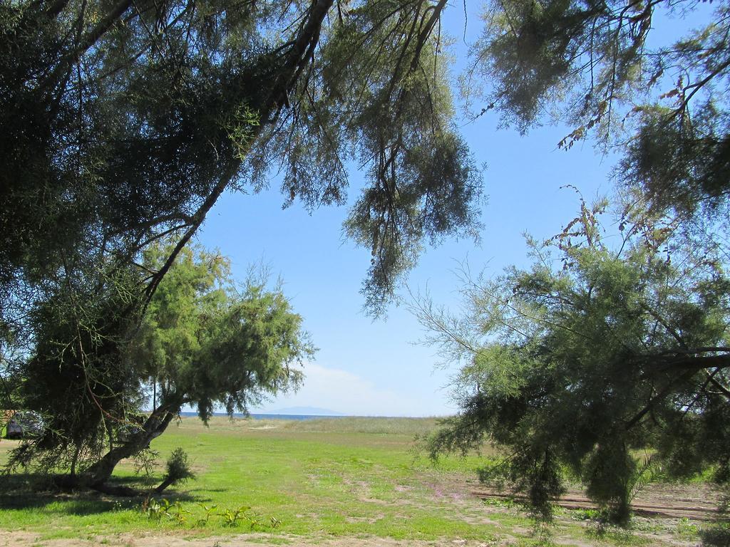Hotel Camping Miami Plage Poggio Mezzana Exteriér fotografie