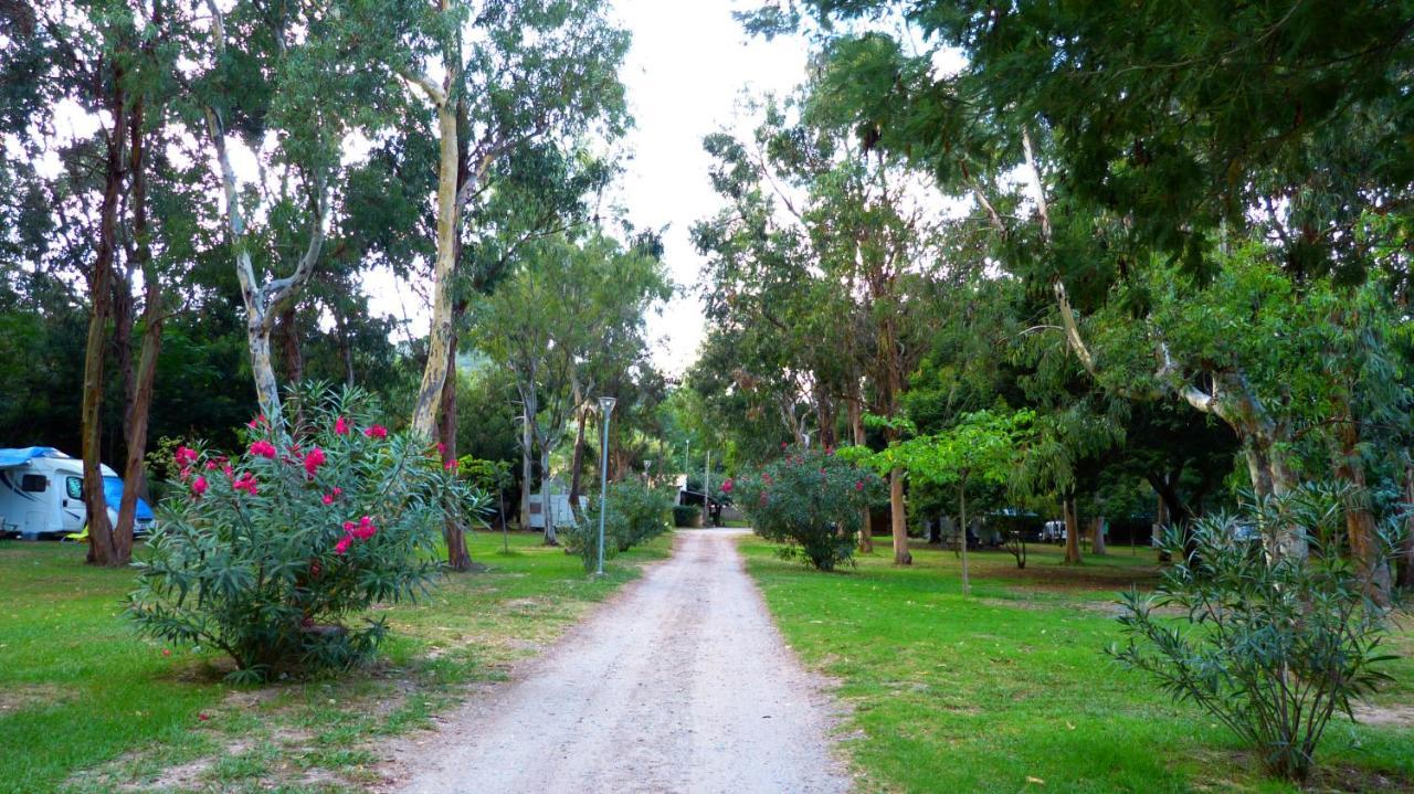 Hotel Camping Miami Plage Poggio Mezzana Exteriér fotografie